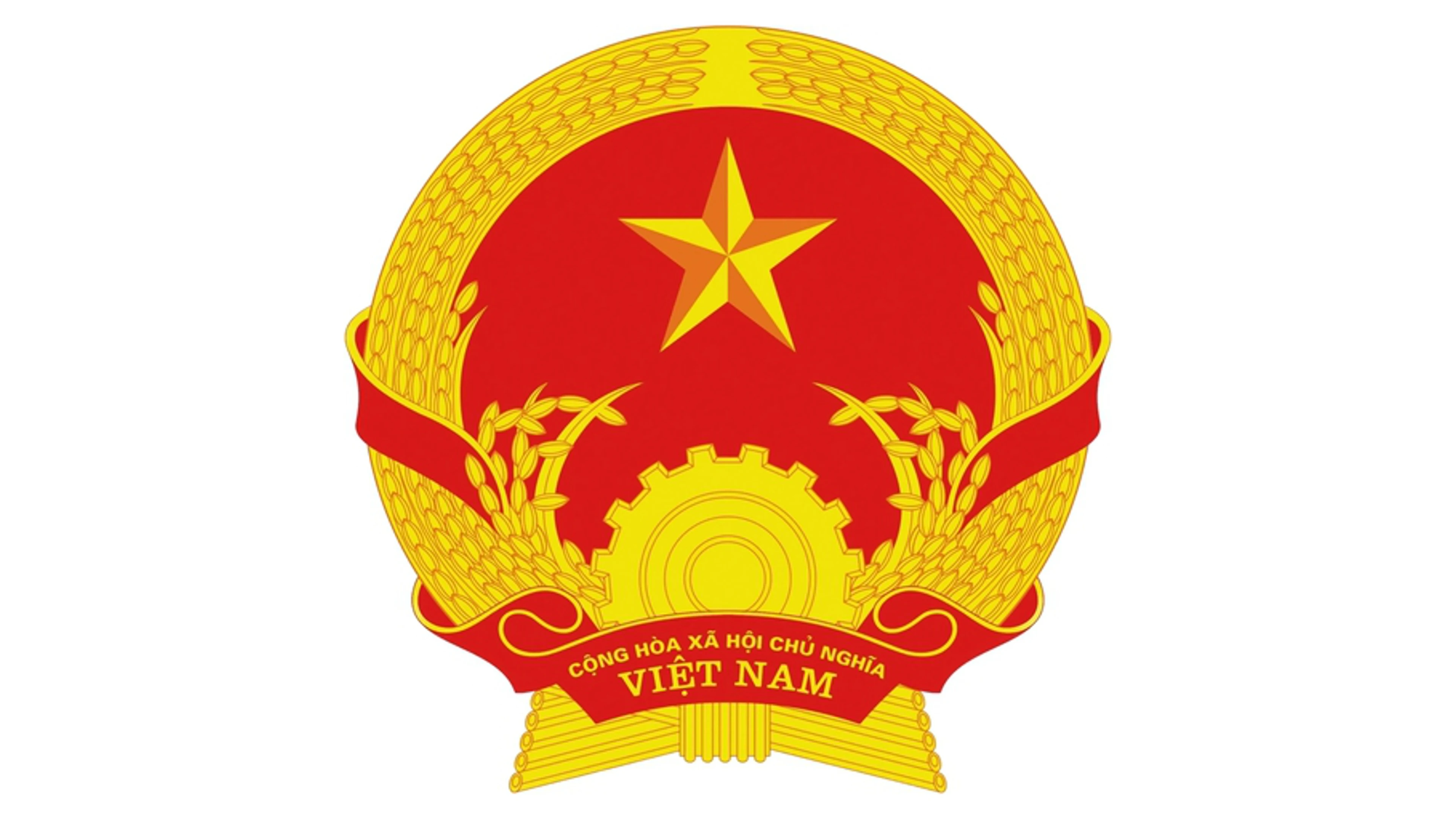 Chính phủ